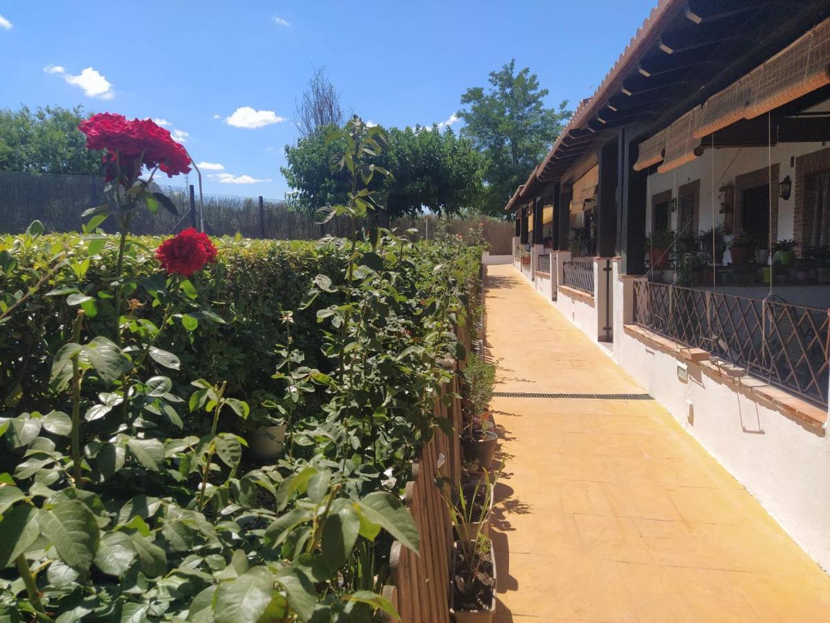 Hébergement de vacances Alamillo